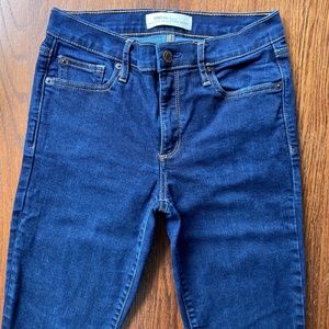 GAP Denim True Skinny Blue Jeans